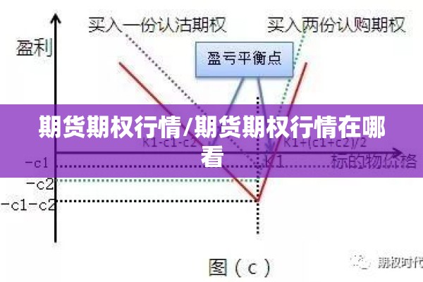 期货期权行情/期货期权行情在哪看