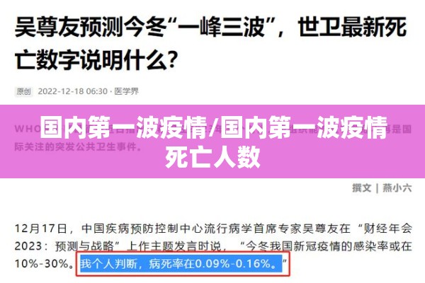 国内第一波疫情/国内第一波疫情死亡人数