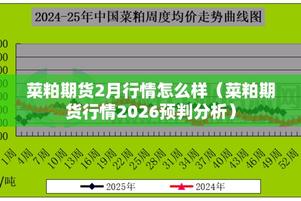 菜粕期货2月行情怎么样(菜粕期货行情2026预判分析) 菜粕期货2月行情怎么样(菜粕期货行情2026预判分析)