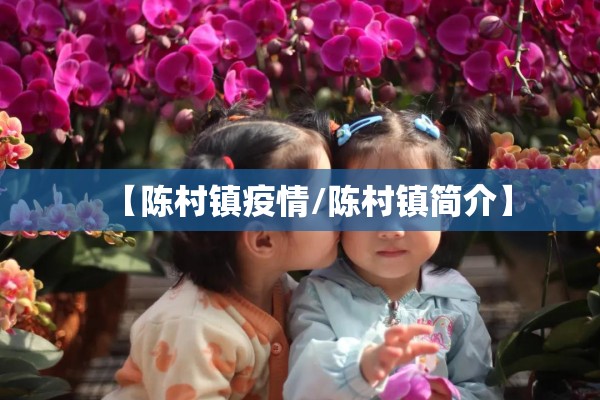 【陈村镇疫情/陈村镇简介】 【陈村镇疫情/陈村镇简介】