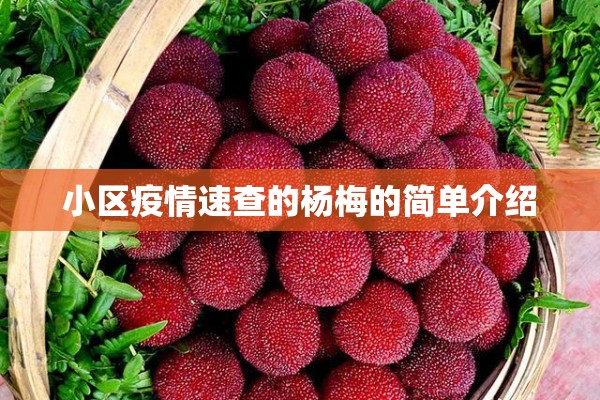 小区疫情速查的杨梅的简单介绍 小区疫情速查的杨梅的简单介绍