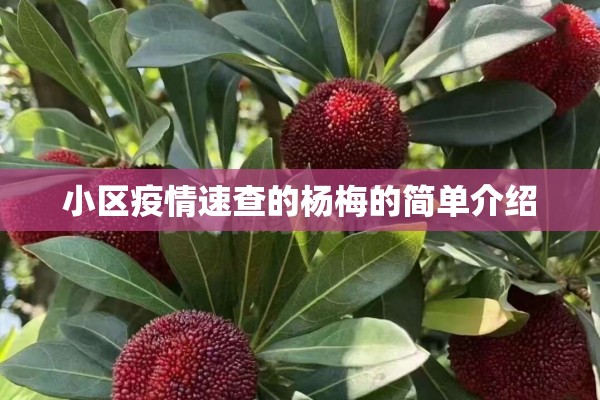 小区疫情速查的杨梅的简单介绍 小区疫情速查的杨梅的简单介绍