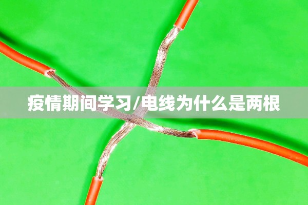 疫情期间学习/电线为什么是两根