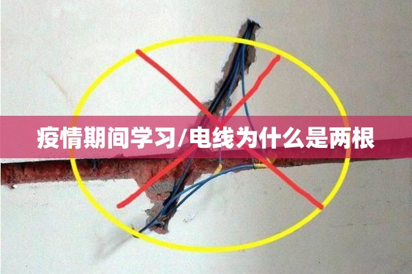 疫情期间学习/电线为什么是两根