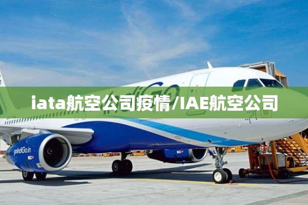 iata航空公司疫情/IAE航空公司