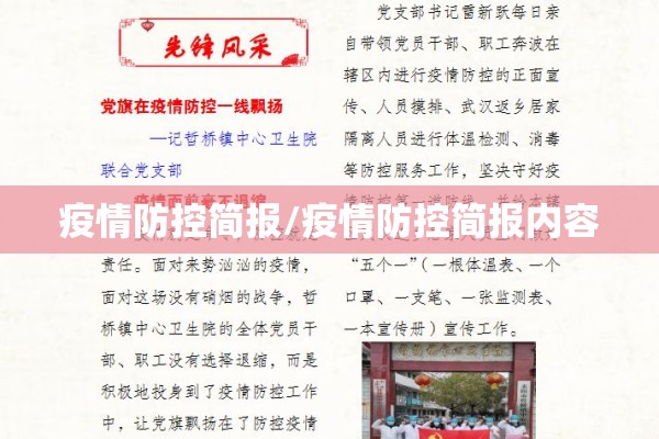 疫情防控简报/疫情防控简报内容