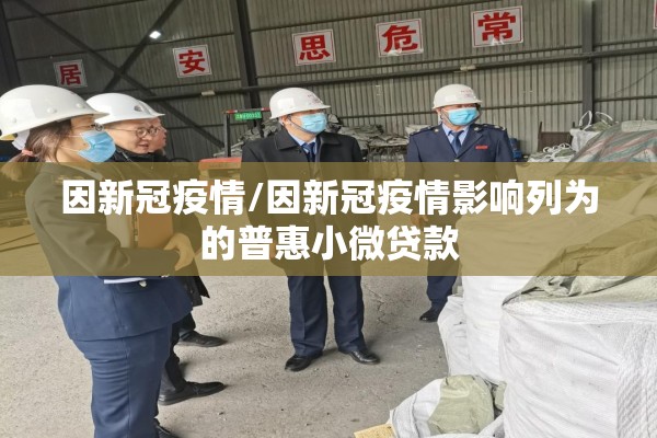 因新冠疫情/因新冠疫情影响列为的普惠小微贷款 因新冠疫情/因新冠疫情影响列为的普惠小微贷款