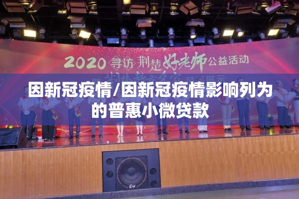 因新冠疫情/因新冠疫情影响列为的普惠小微贷款 因新冠疫情/因新冠疫情影响列为的普惠小微贷款