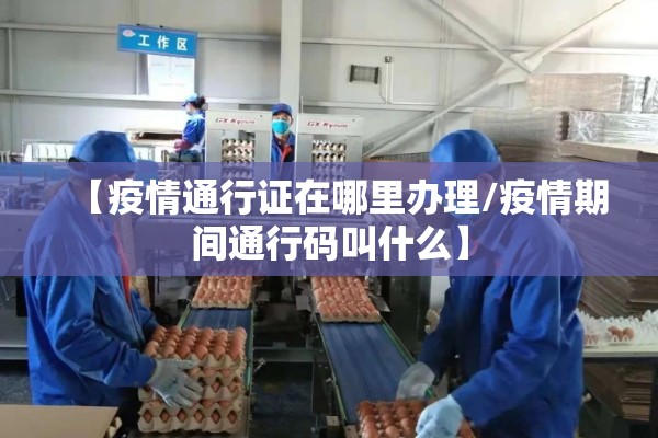 【疫情通行证在哪里办理/疫情期间通行码叫什么】 【疫情通行证在哪里办理/疫情期间通行码叫什么】