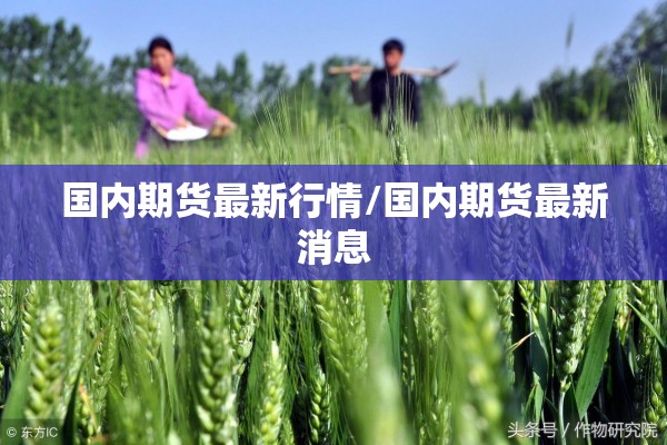 国内期货最新行情/国内期货最新消息 国内期货最新行情/国内期货最新消息