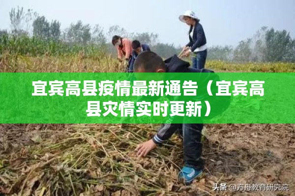 宜宾高县疫情最新通告(宜宾高县灾情实时更新) 宜宾高县疫情最新通告(宜宾高县灾情实时更新)