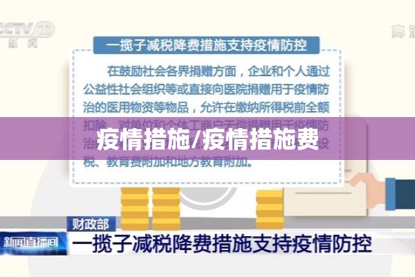 疫情措施/疫情措施费 疫情措施/疫情措施费
