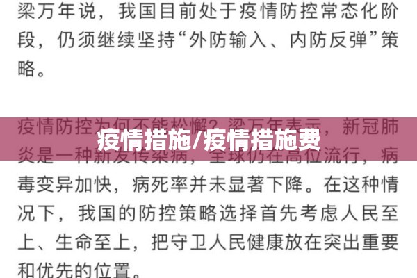 疫情措施/疫情措施费 疫情措施/疫情措施费