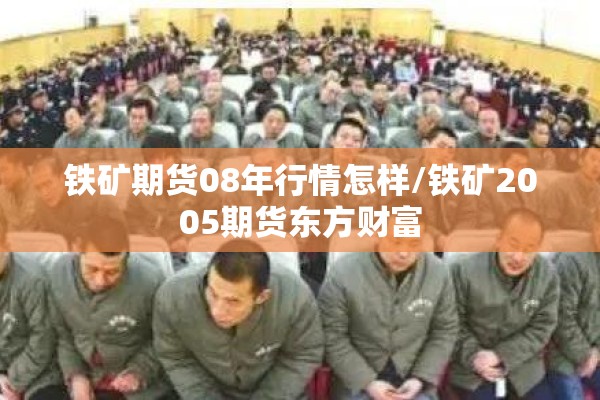 铁矿期货08年行情怎样/铁矿2005期货东方财富