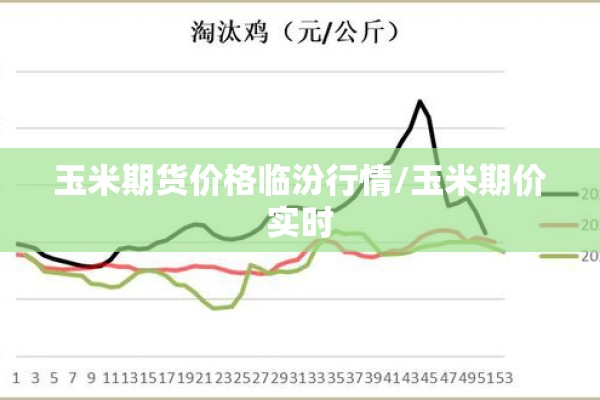 玉米期货价格临汾行情/玉米期价实时