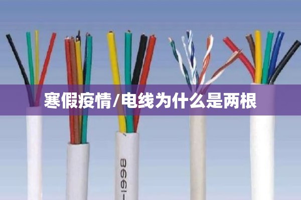 寒假疫情/电线为什么是两根 寒假疫情/电线为什么是两根