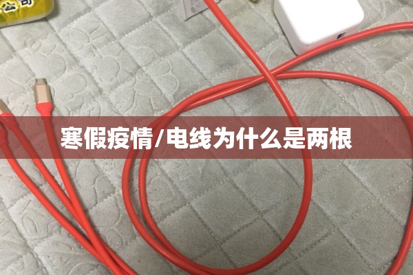 寒假疫情/电线为什么是两根 寒假疫情/电线为什么是两根