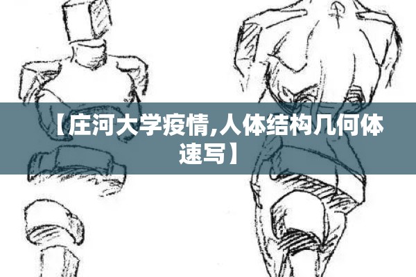 【庄河大学疫情,人体结构几何体速写】 【庄河大学疫情,人体结构几何体速写】
