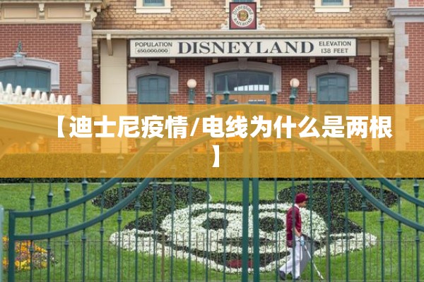 【迪士尼疫情/电线为什么是两根】