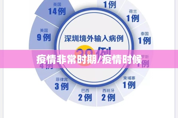 疫情非常时期/疫情时候 疫情非常时期/疫情时候
