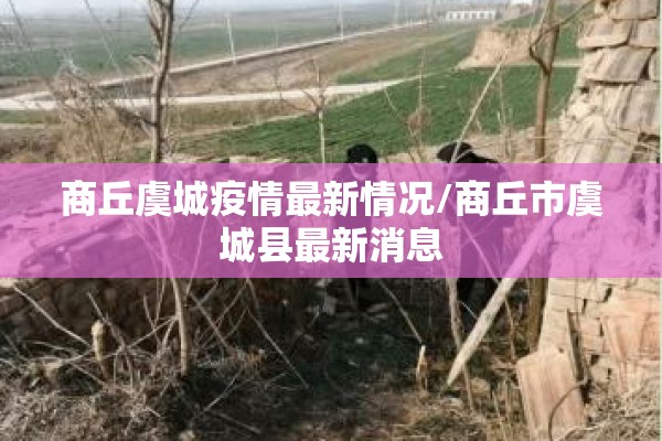 商丘虞城疫情最新情况/商丘市虞城县最新消息