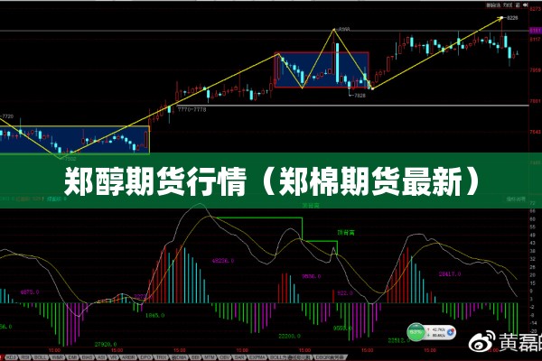 郑醇期货行情（郑棉期货最新）