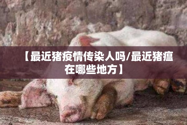 【最近猪疫情传染人吗/最近猪瘟在哪些地方】