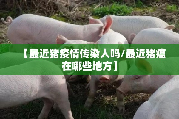 【最近猪疫情传染人吗/最近猪瘟在哪些地方】
