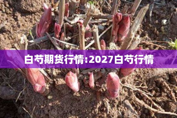 白芍期货行情:2027白芍行情 白芍期货行情:2027白芍行情