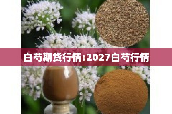 白芍期货行情:2027白芍行情 白芍期货行情:2027白芍行情