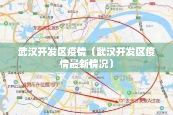 武汉开发区疫情（武汉开发区疫情最新情况）