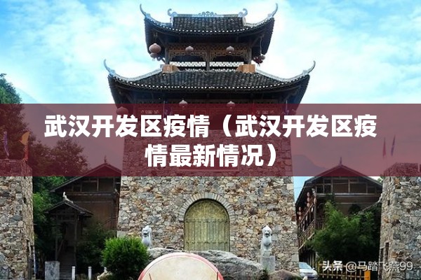 武汉开发区疫情（武汉开发区疫情最新情况）
