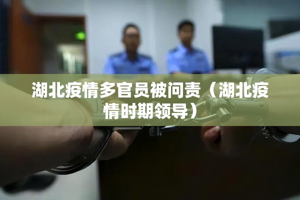湖北疫情多官员被问责（湖北疫情时期领导）