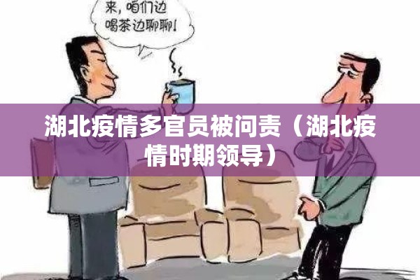 湖北疫情多官员被问责（湖北疫情时期领导）
