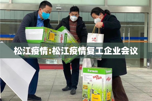 松江疫情:松江疫情复工企业会议
