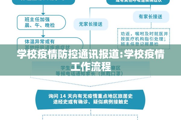 学校疫情防控通讯报道:学校疫情工作流程