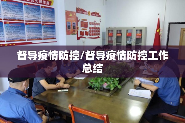 督导疫情防控/督导疫情防控工作总结