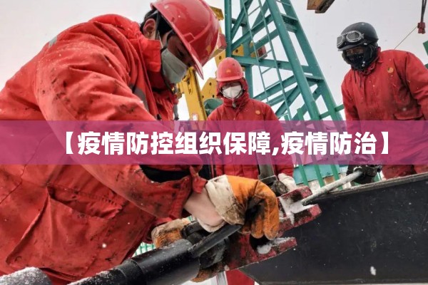 【疫情防控组织保障,疫情防治】