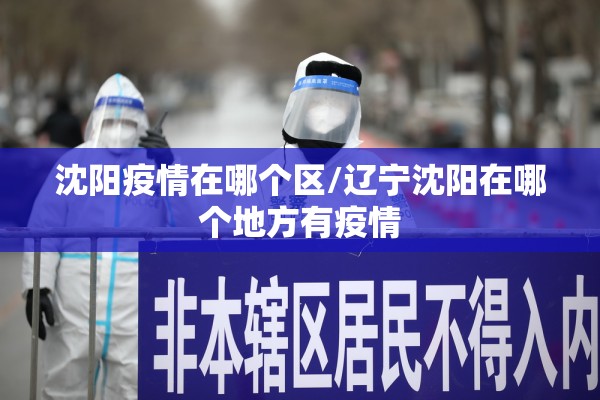 沈阳疫情在哪个区/辽宁沈阳在哪个地方有疫情
