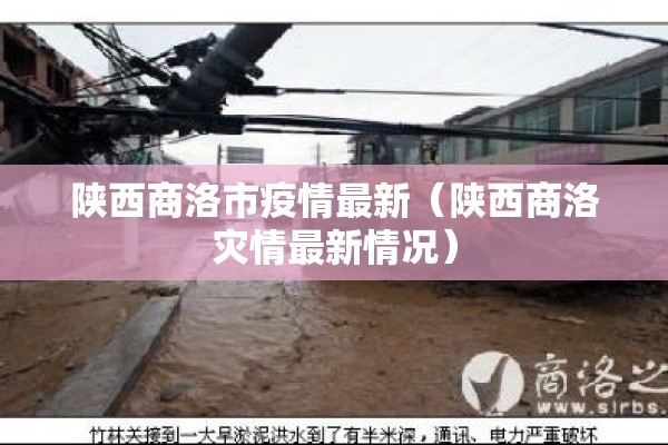 陕西商洛市疫情最新（陕西商洛灾情最新情况）