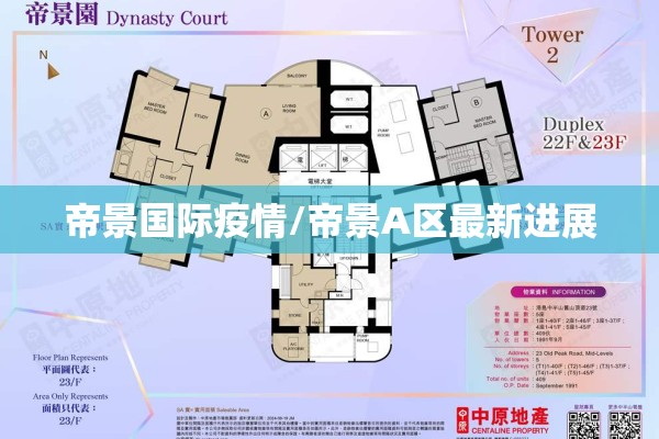 帝景国际疫情/帝景A区最新进展 帝景国际疫情/帝景A区最新进展