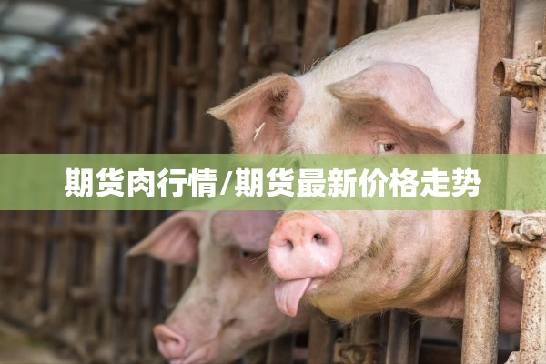 期货肉行情/期货最新价格走势